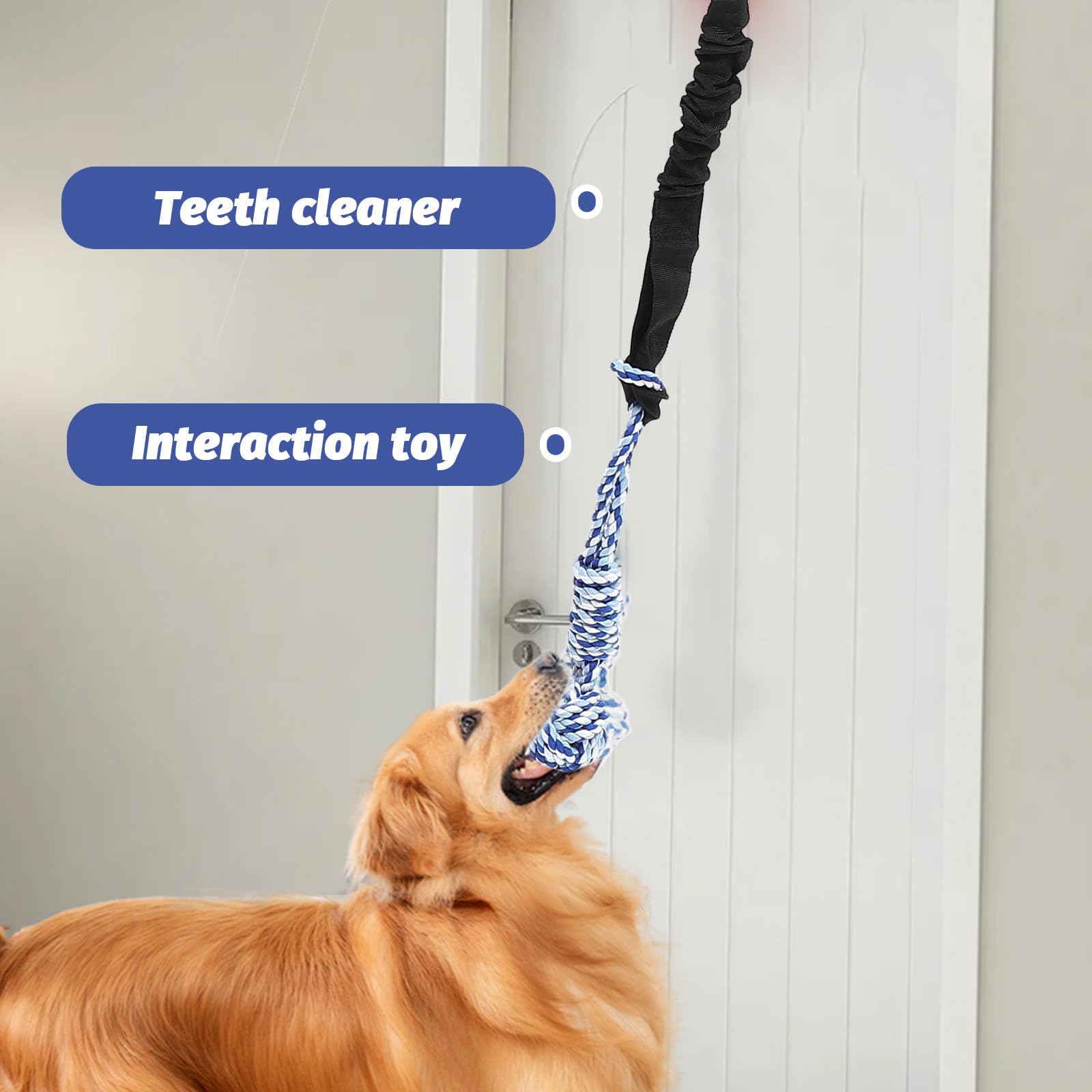 Abaodam Kauspielzeug Molare Nylon mit Hängendes für und Hunde aus Elastischem Baumwollseil Interaktives Seil Funktion Tragbar für Beschäftigung und Training