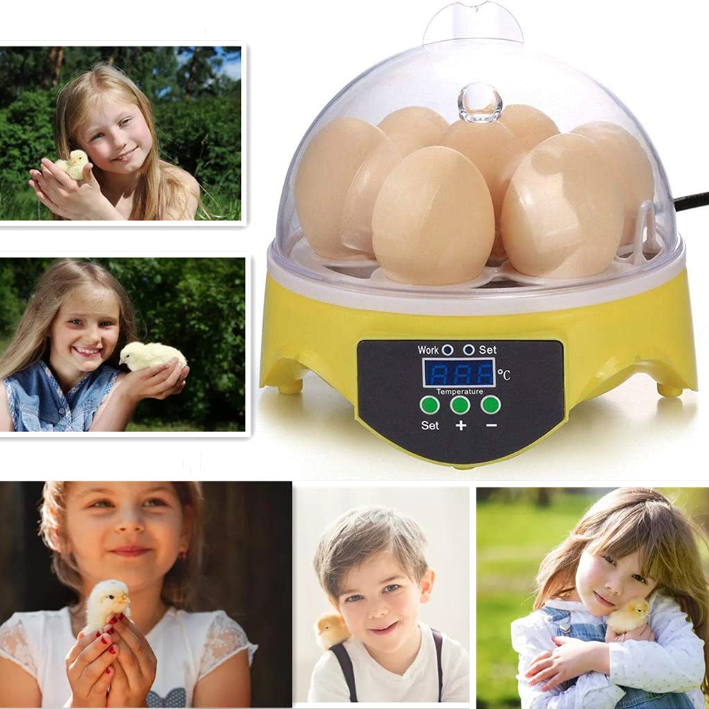 Mini incubateur d'œufs pour 7 œufs, Machine à couver avec contrôle de la température, Petits incubateurs pour Poulets, cailles, Oiseaux