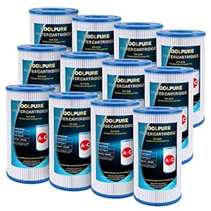 POOLPURE 12 Stück Filterkartusche Typ A/C