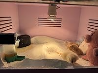 Review Image by BAM2017 BAM2017