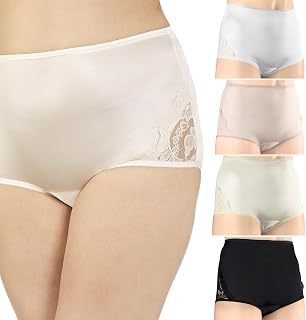 Premium Women's High Waisted Full Brief Nylon Panties with Lace Insets and Satin Finish – 4-Pack – Includes Dust Bag