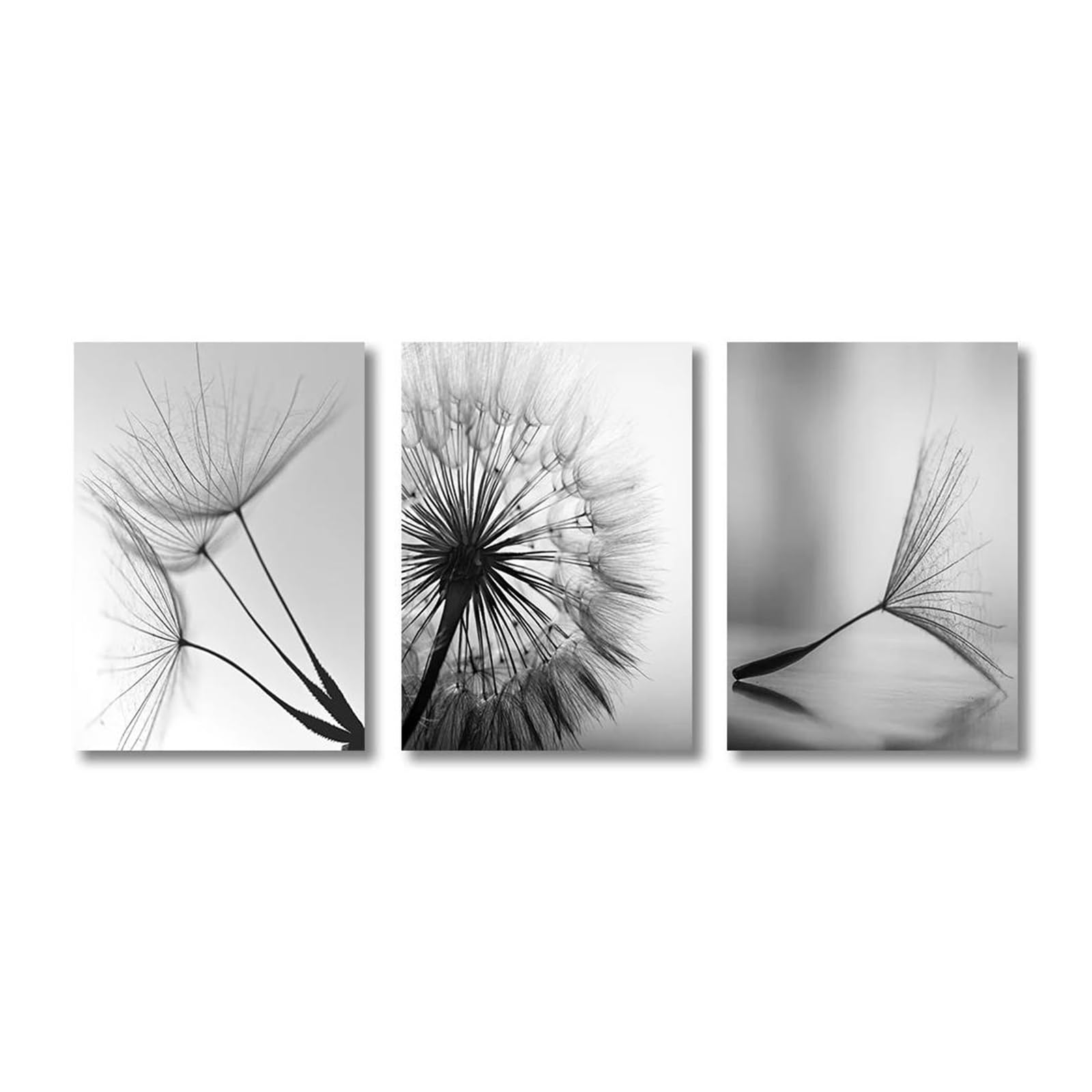 Œuvres d'art décoratives pour la maison triptyque pissenlit noir et blanc 50x75cm