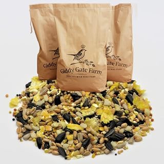 Giddy Gate Farm Wild Bird Winter Feast. Premium Wild Bird Food In Plastic Free Bags (4 Kg). With Sunflower Hearts and Tasty Peanut Pieces. (Wild Bird Winter Feast, 4 Kg)