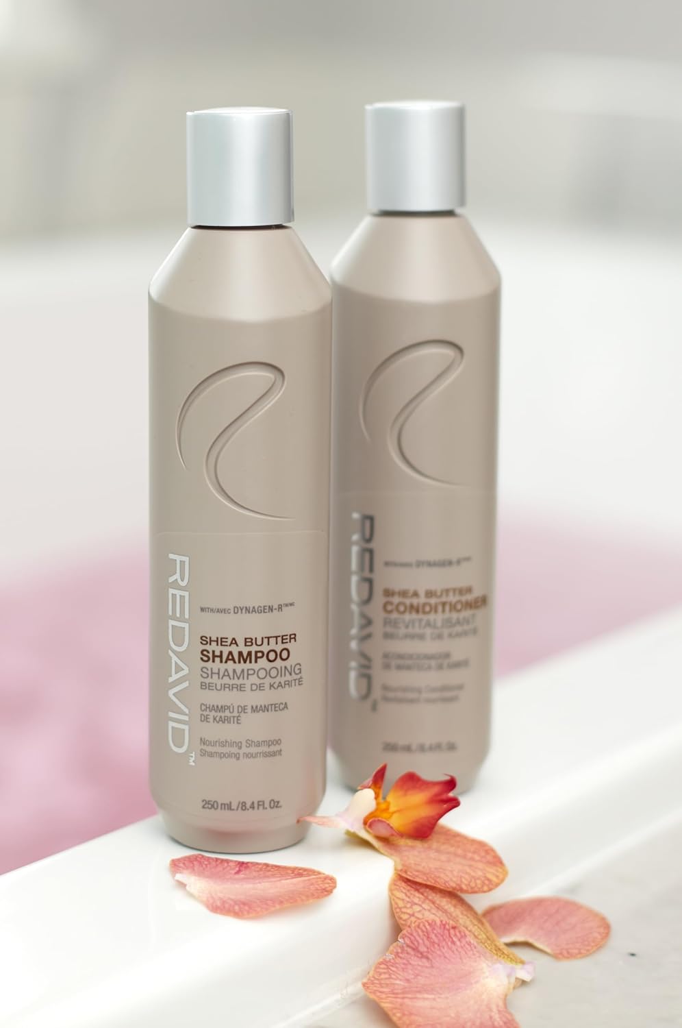 Redavid Shea Butter Nourishing Shampoo for Normal to Dry, Damaged hair - with Shea Butter, Silk Amino Acids, Clinically Strengthens, Adds Moisture & Enhanced Shine - Color Safe (250ml)