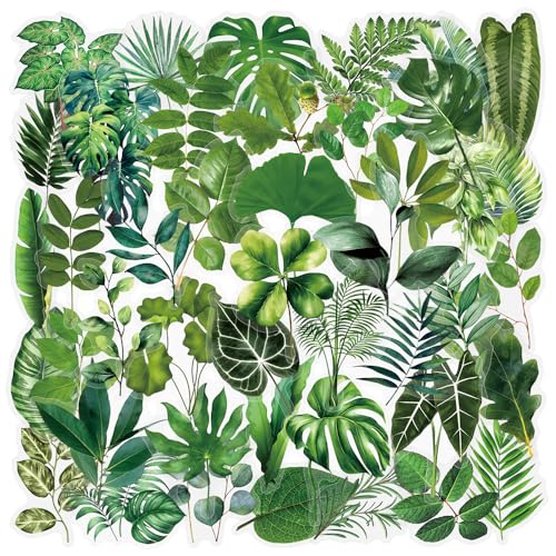 50PCS Green Leaf Stickers Flora Scrapbook Stickers Pack Aesthetic Stickers | Transparent & Waterproof for Water Bottle Scrapbook Supplies Junk Journal Supplies DIY Crafts Party Supplies (Leaf)