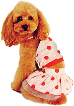 Amazon Banly Shop ペット服 ドッグウェア 犬用 水着 ビキニ ワンちゃん 2点セット 涼し キュート プレゼント リゾート 春 夏 4サイズ ピンク Banly Shop シャツ パーカー 通販