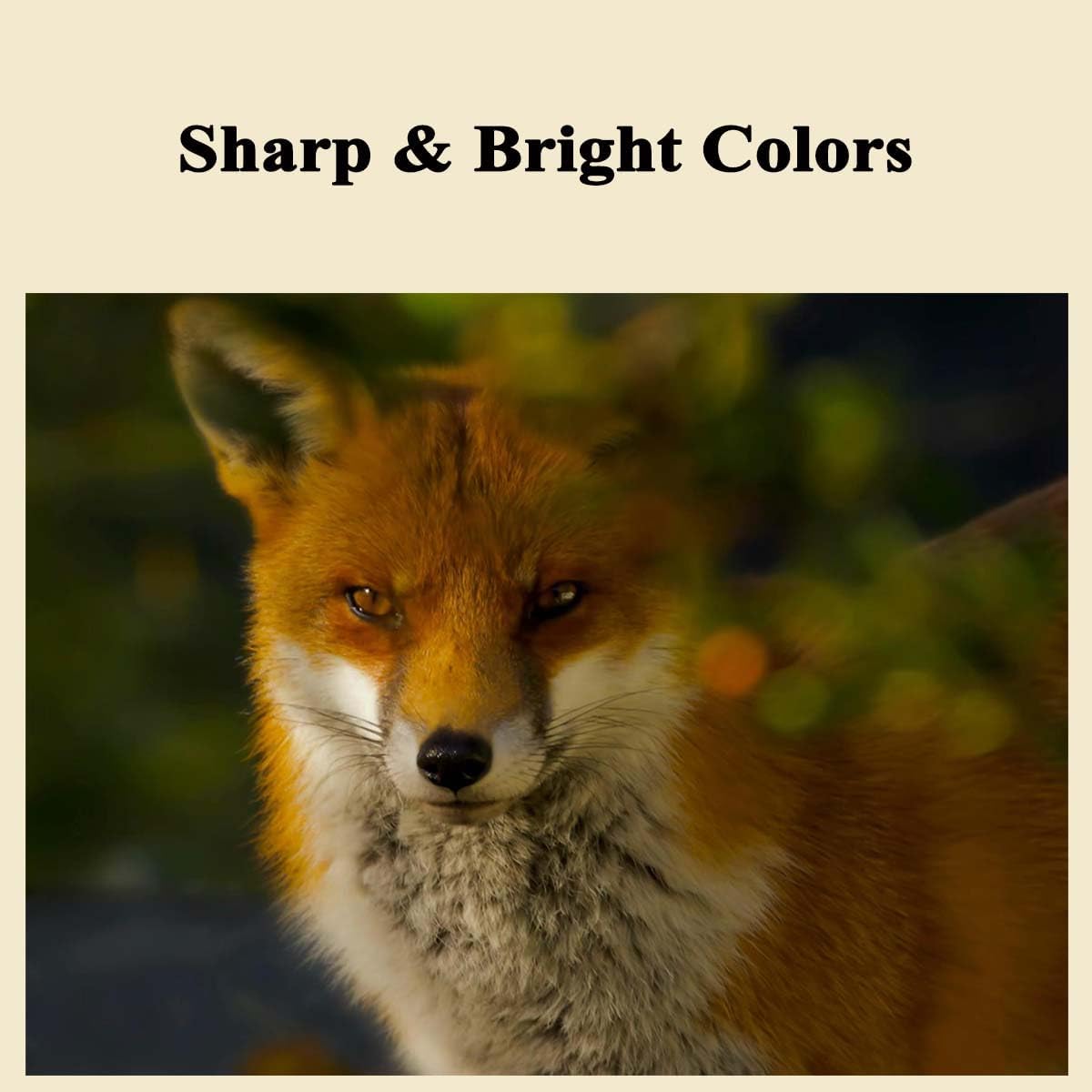 MC-10 Maintenance Cartridge Compatible for Canon imagePROGRAF IPF650 655 680 670 685 755 750 760 765 770 780 785 830 840 850 Printer Replacement for 1320B014AA Maintenance Collection Cartridge