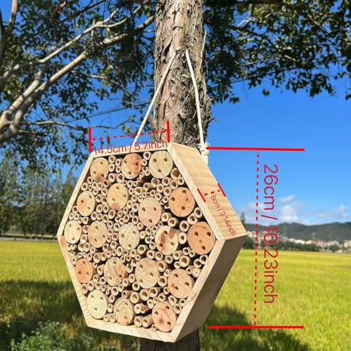 Hábitat renovable de madera Flying Friend para proteger aves al aire libre 8