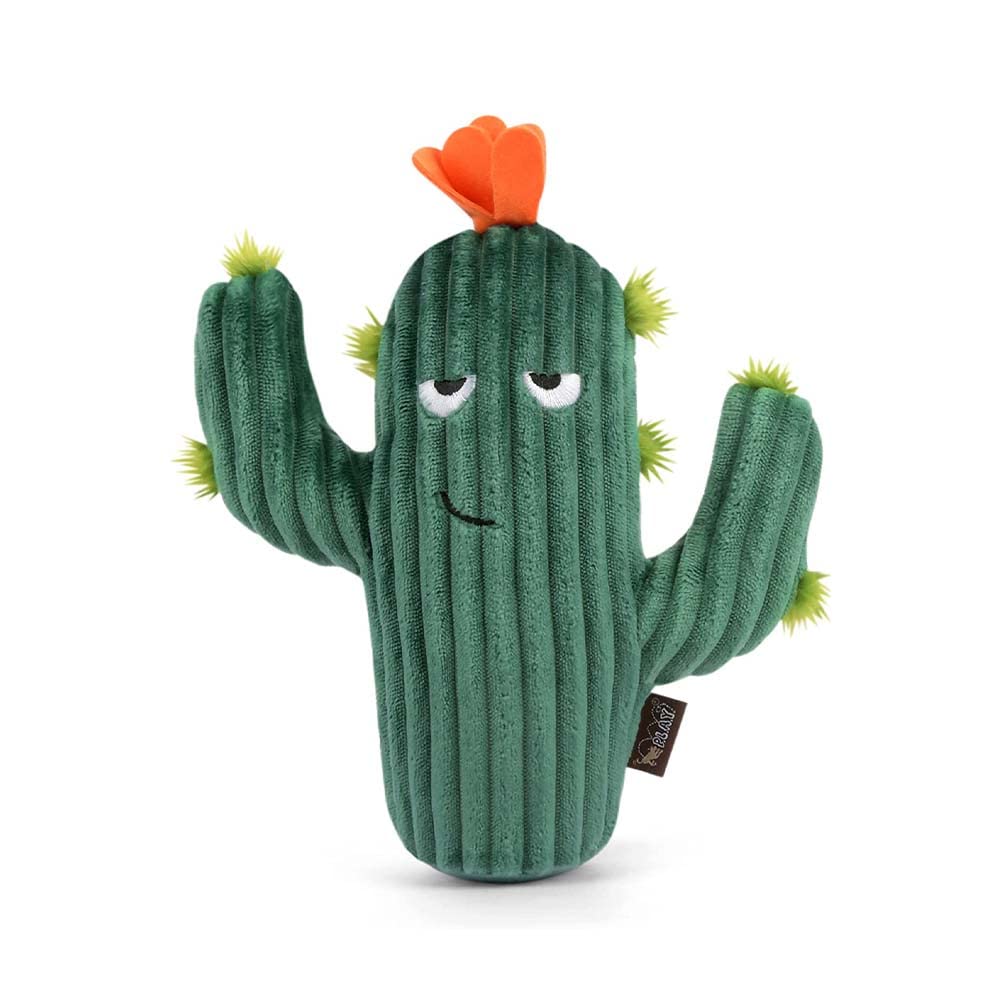 P.L.A.Y PLAY Blooming Buddies Collection Prickly Pup Cactus Dog Toy, More Colorful