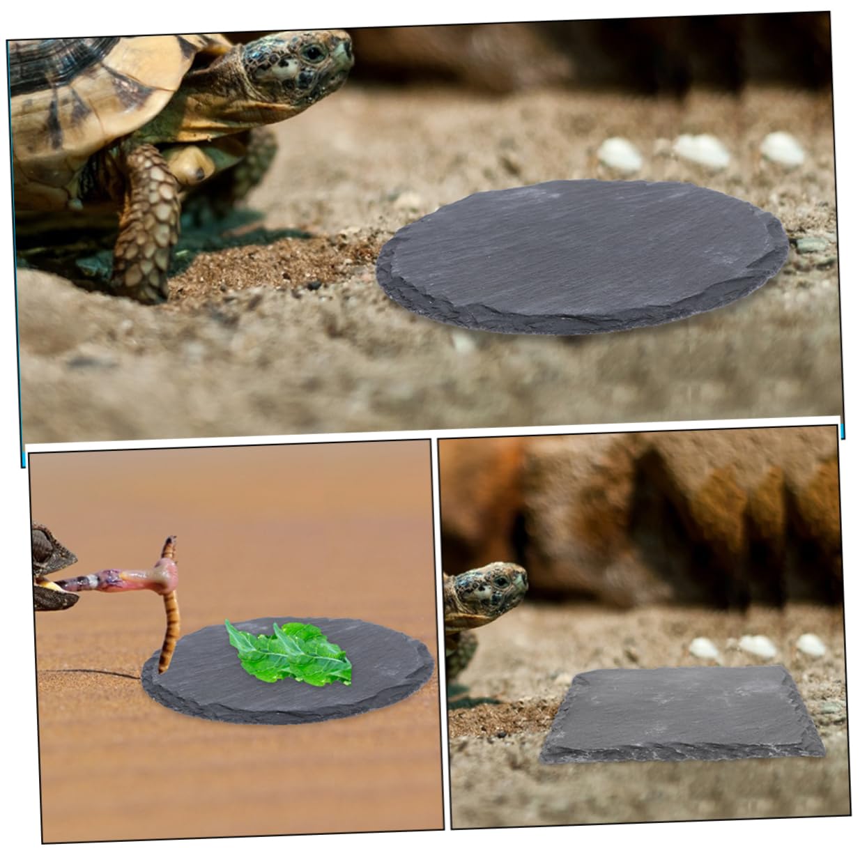 BESPORTBLE Nail Polishing Bowl 2pcs Turtle Resting Platforms Basking Rock Decorative Reptile Tank Accessory