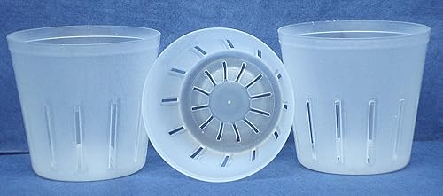 Maceta de plástico transparente para orquídeas de 3 pulgadas de diámetro cantidad 3