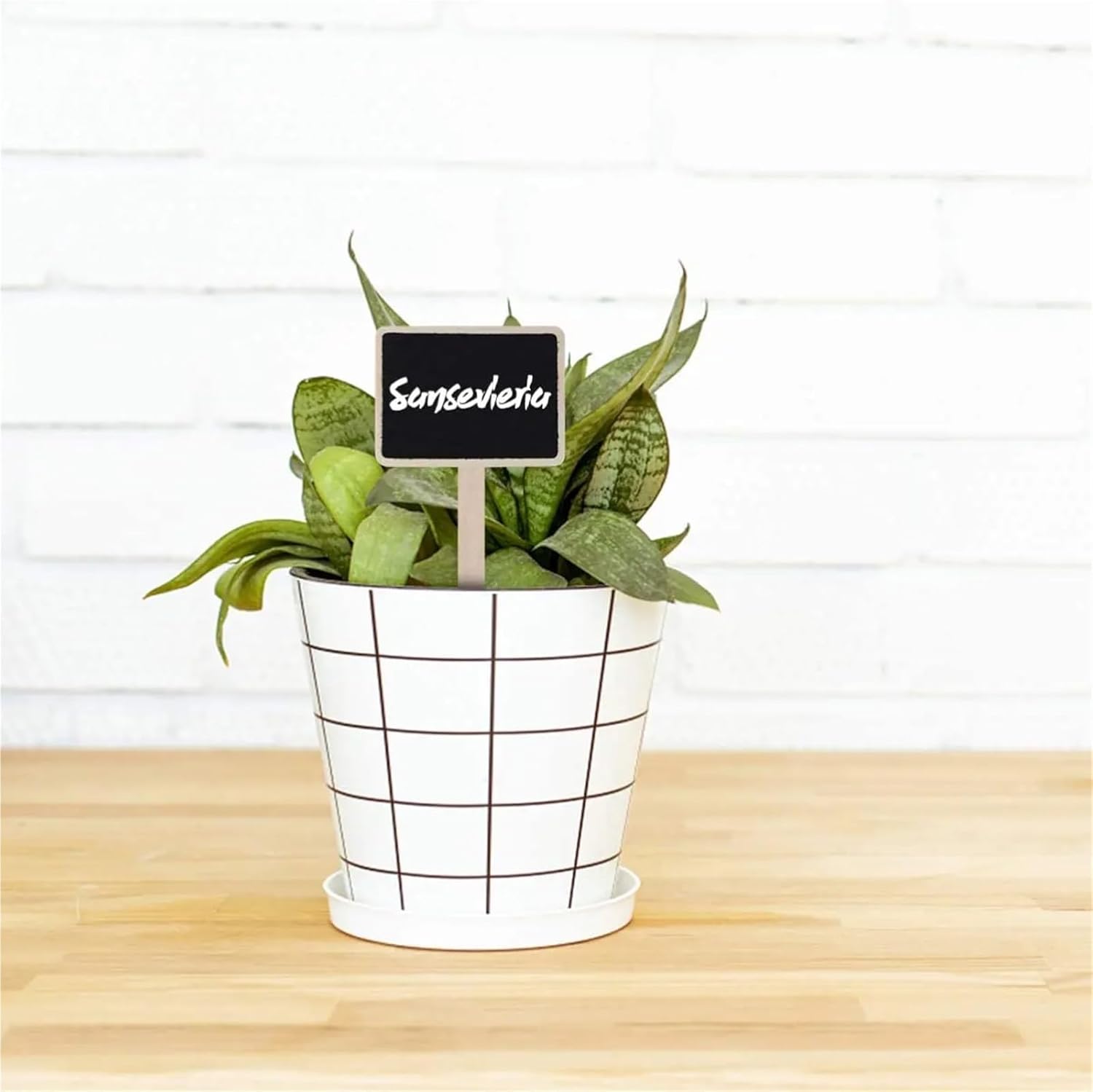 Wooden Plant Labels 70/100/200pcs Mini Wood Chalkboard Stakes Wooden Plant Tags Markers Blackboard Garden Labels Signs Decorative(200pcs)