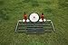Driveway Games Catch The Bottle Flying Disc Game Catch The Bottle. Flying Disc, Beersbee Poles & Bottles. Pole-Ish Horseshoes French Darts Outdoor Game