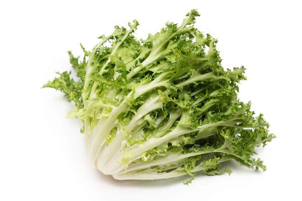 AllThatGrows Curly Endive Green Vegetable Seeds (500 Seeds)