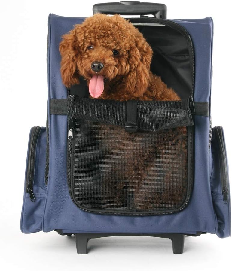 【4点セット】MINERVA MPT250Sポケットトランペット 4点セット】MINERVA MPT250Sポケットトランペット - メルカリ