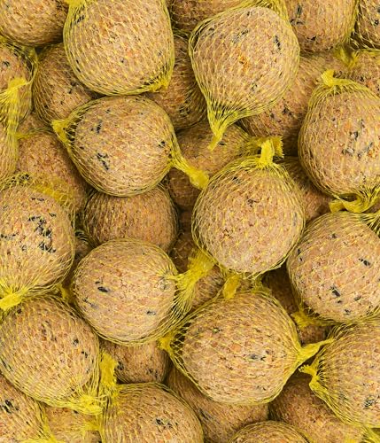 Dehner Natura Premium Meisenknödel mit Netz, Insektenknödel, ganzjähriges Wildvogelfutter proteinreich / energiereich, 30 Stück je 90 g (2.7 kg), Karton aus FSC-zertifizierter Produktion