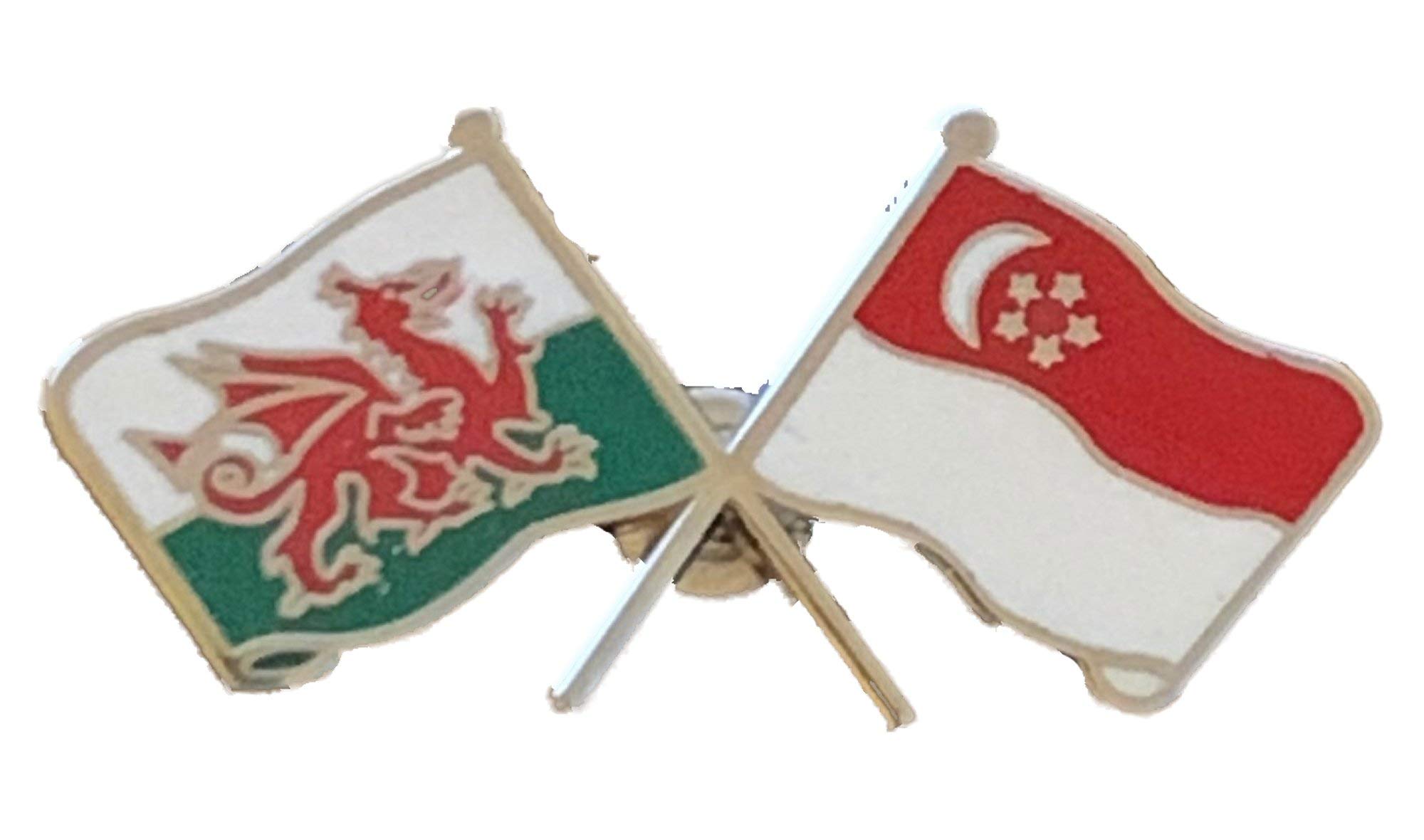 Wales & Singapore Flags Friendship Courtesy Enamel Lapel Pin Badge T787