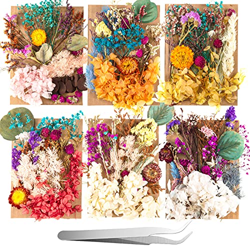 Flores y hojas naturales secas prensadas para manualidades 200 piezas