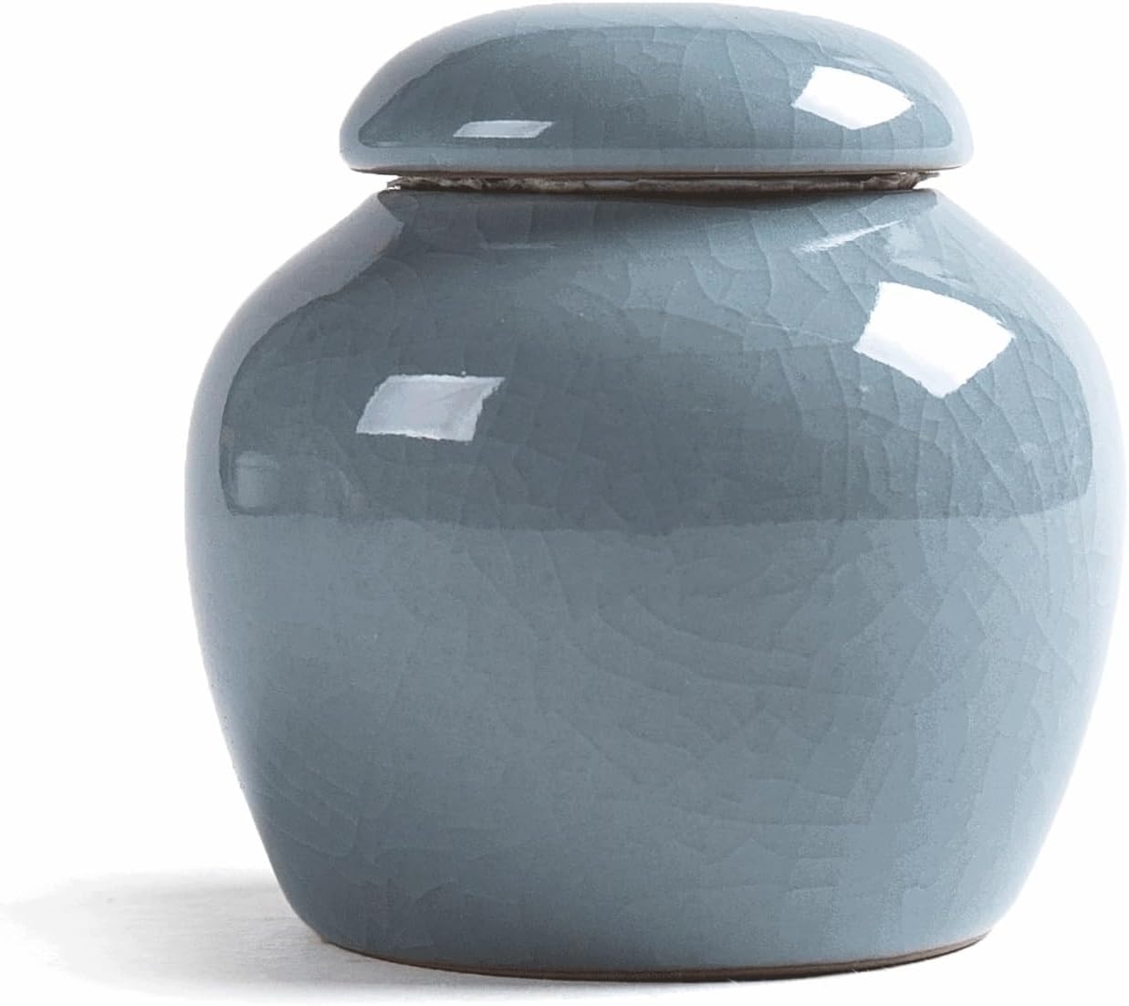 SONGCHAO Sugar Jar Ceramic Tea Jar Mini Sealed Jar Household Ointment Jar Suitable for Offices, Kitchens, Living Rooms, Etc. Tea Canister (Color : C)