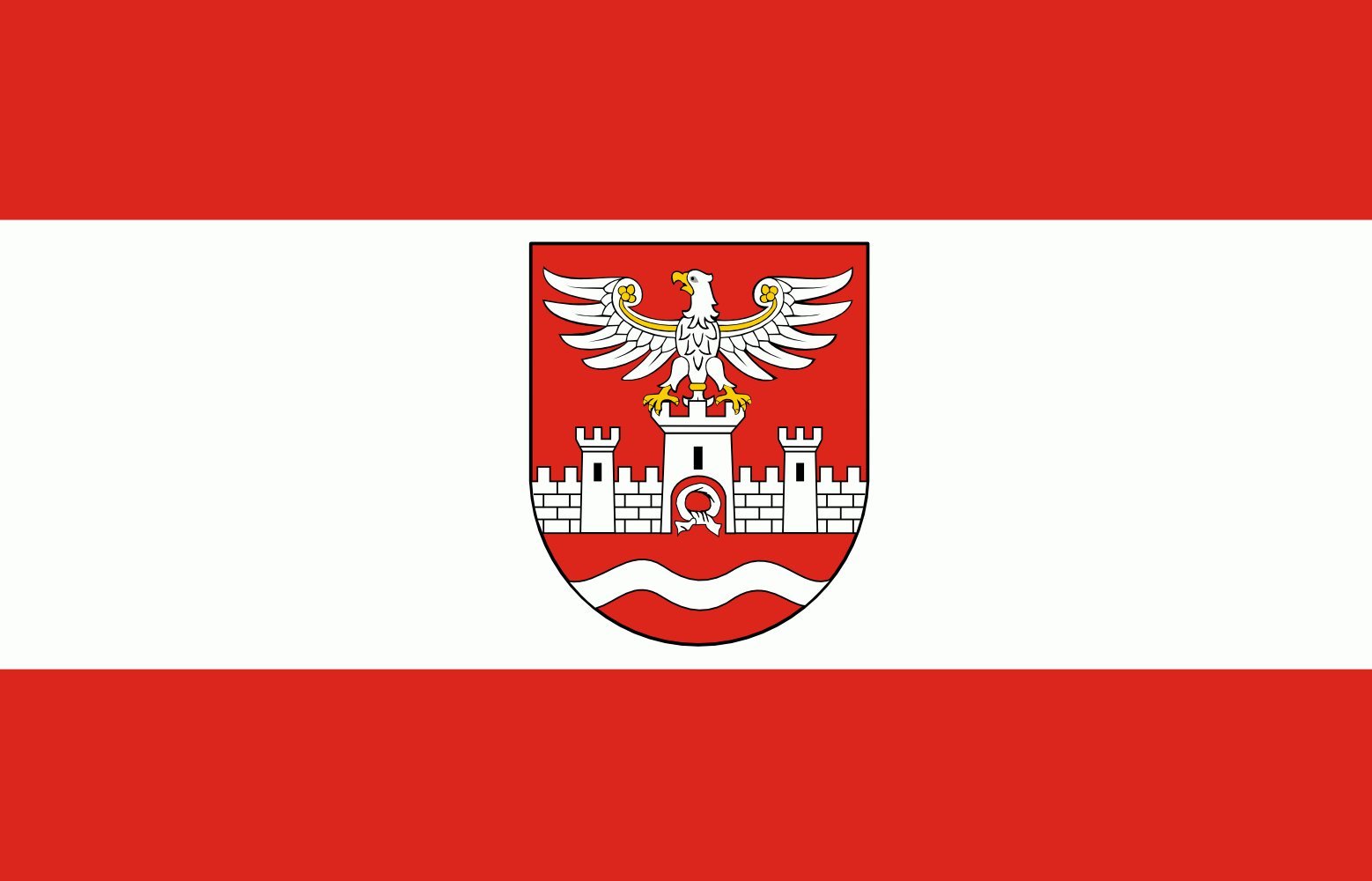 Drapeau POL powiat nowodworski grand format paysage pavillon pologne