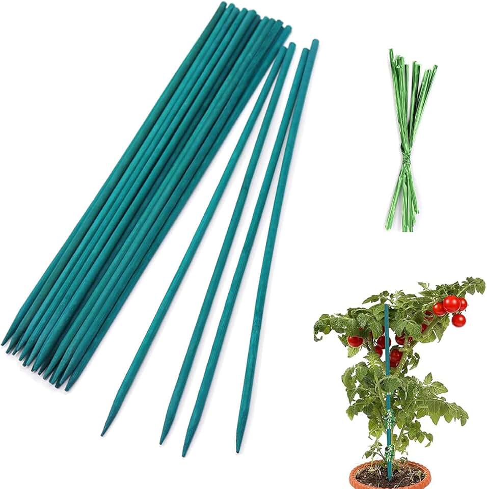Amazon.co.uk garden canes Garden & Outdoors