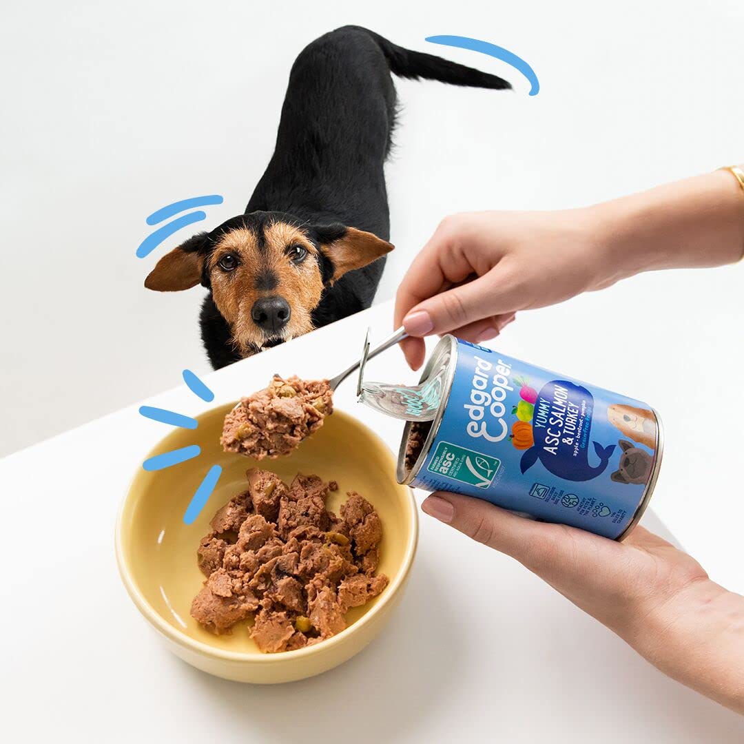 Edgard & Cooper Pasta Per Cani, (Salmone & Tacchino, 400 g x 6), Senza Cereali, Carne e pesce freschi e proteine di qualità, ingredienti reali per cani, Ipoallergenico, Senza zuccheri aggiunti