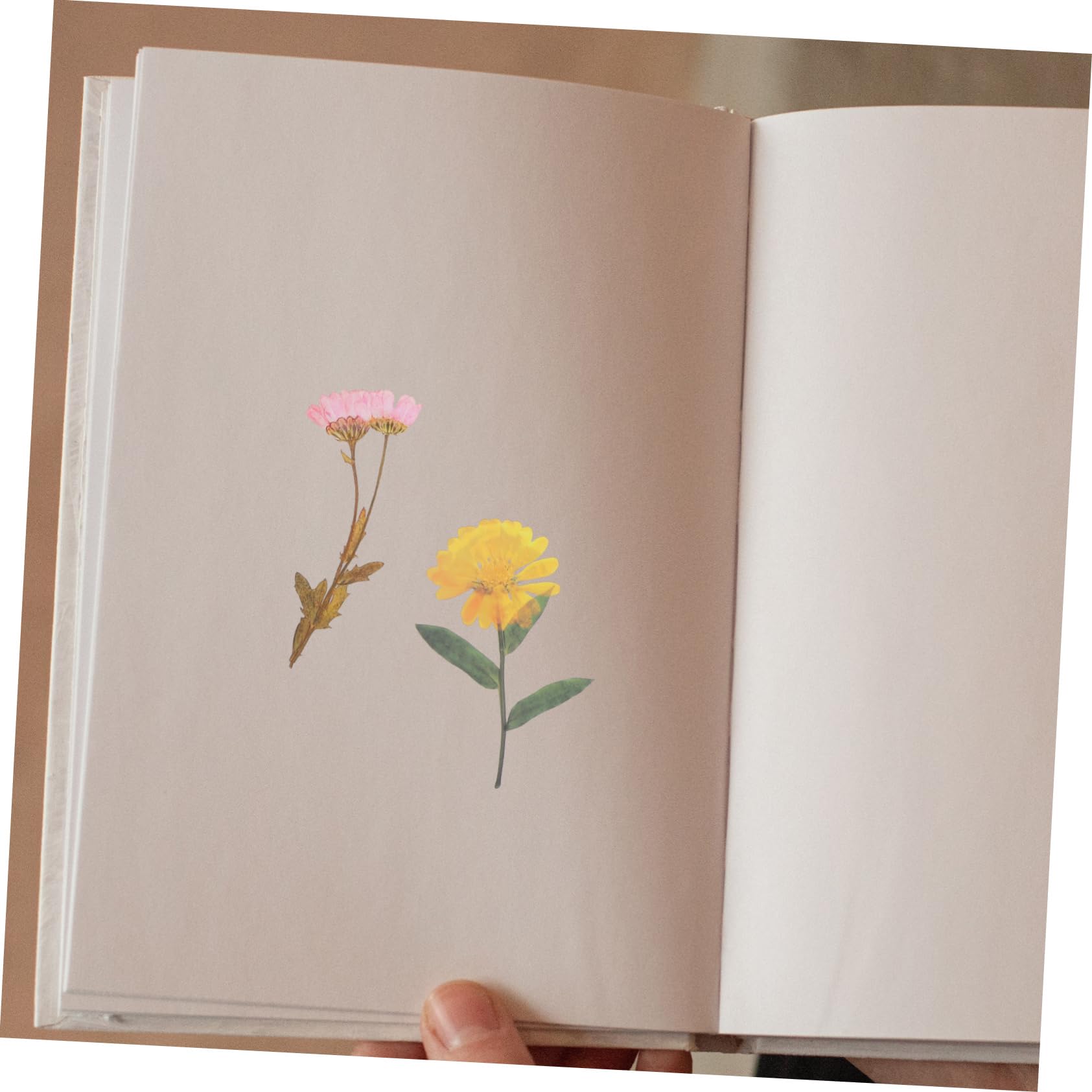 Artibetter 18packungen Elegante Trockenblumen Sticker Pack Dekorative Aufkleber Für Scrapbooking Notizbücher Kunst Und Bastelprojekte Für Kreative Dekorationen Und