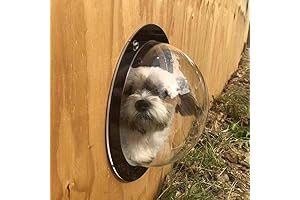 Premium Bubble Window for Pets - Extra-Large Clear View Dome Peek Window