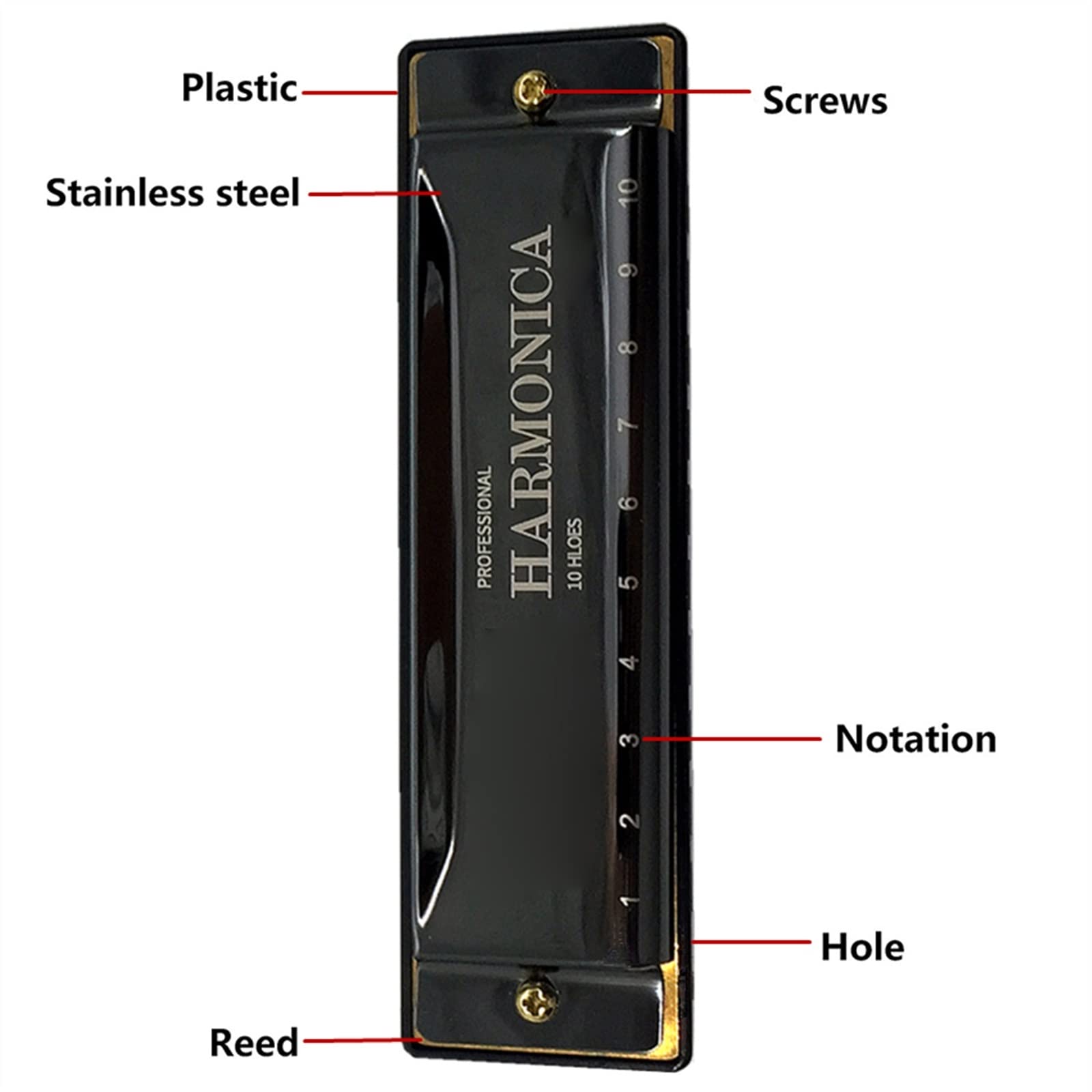 Armonica A Bocca Professionale Armonica A Bocca Armonica Diatonica A 10 Fori con Custodia Strumento Musicale Armonica A Tono C (Color : 01)