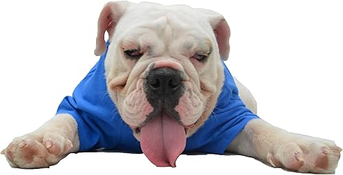 Miniatura 7 de Lovelonglong Ropa de bulldog para perro, camiseta en blanco para Bulldog francés, Bulldog inglés, American Pit Bull Pugs, 100% algodón, cuidado de