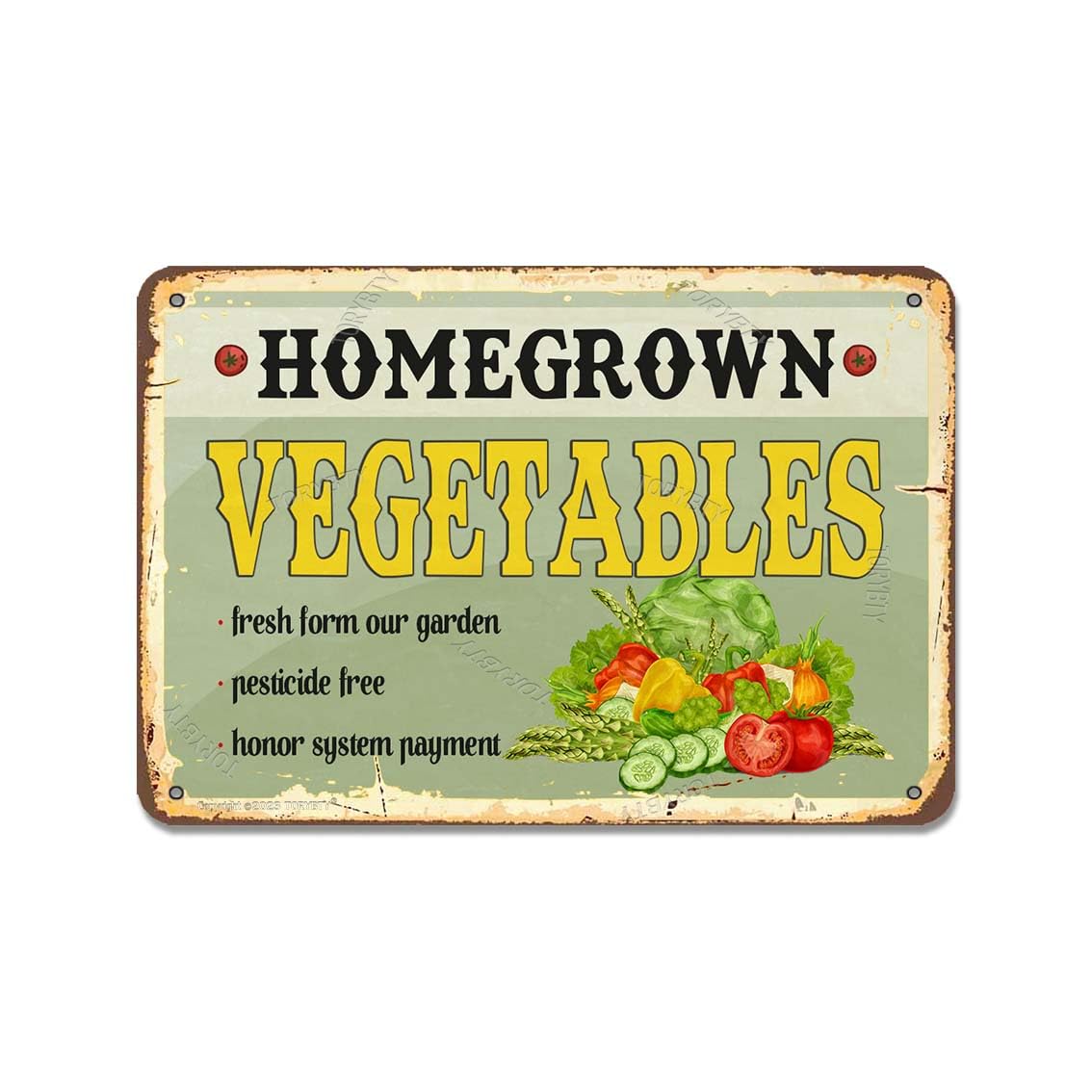 その他 VINTAGE CALIFORNIA FREE FORM VEGETABLE Amazon.com: Homegrown Vegetables Fresh Form Our Garden Tin 8