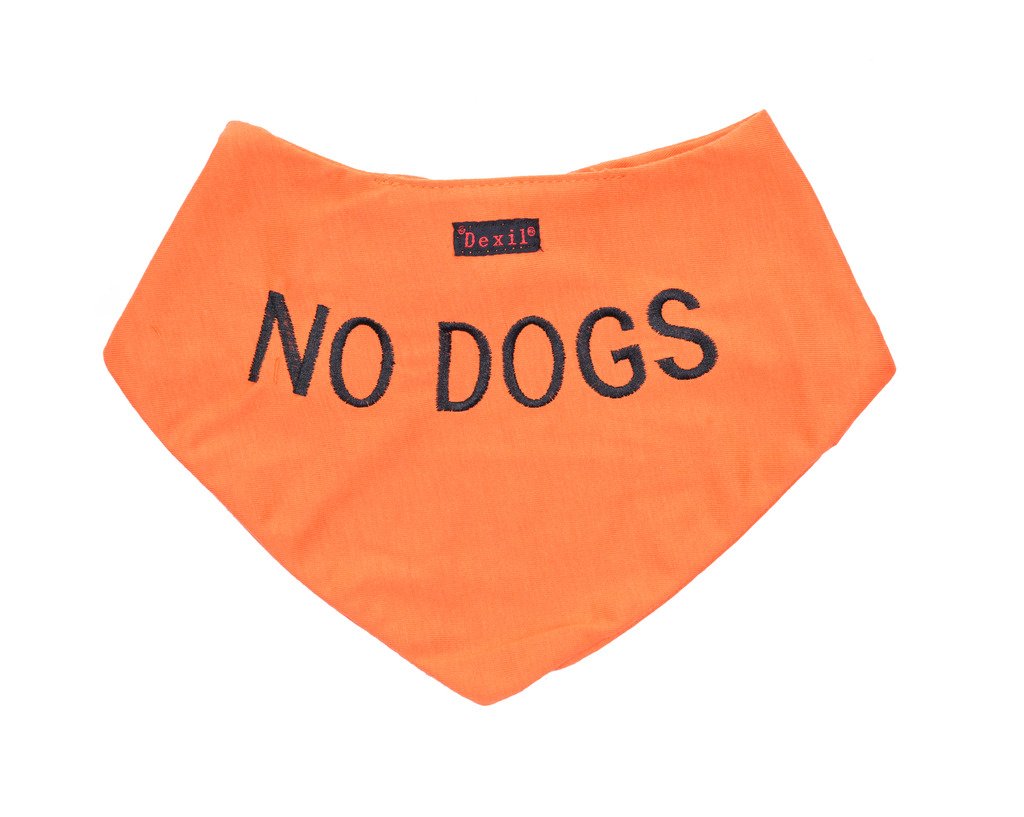 Pañuelo de perro naranja con mensaje bordado personalizado de calidad, bufanda para el cuello, accesorio de moda, evita accidentes al advertir a otros de tu perro de antemano