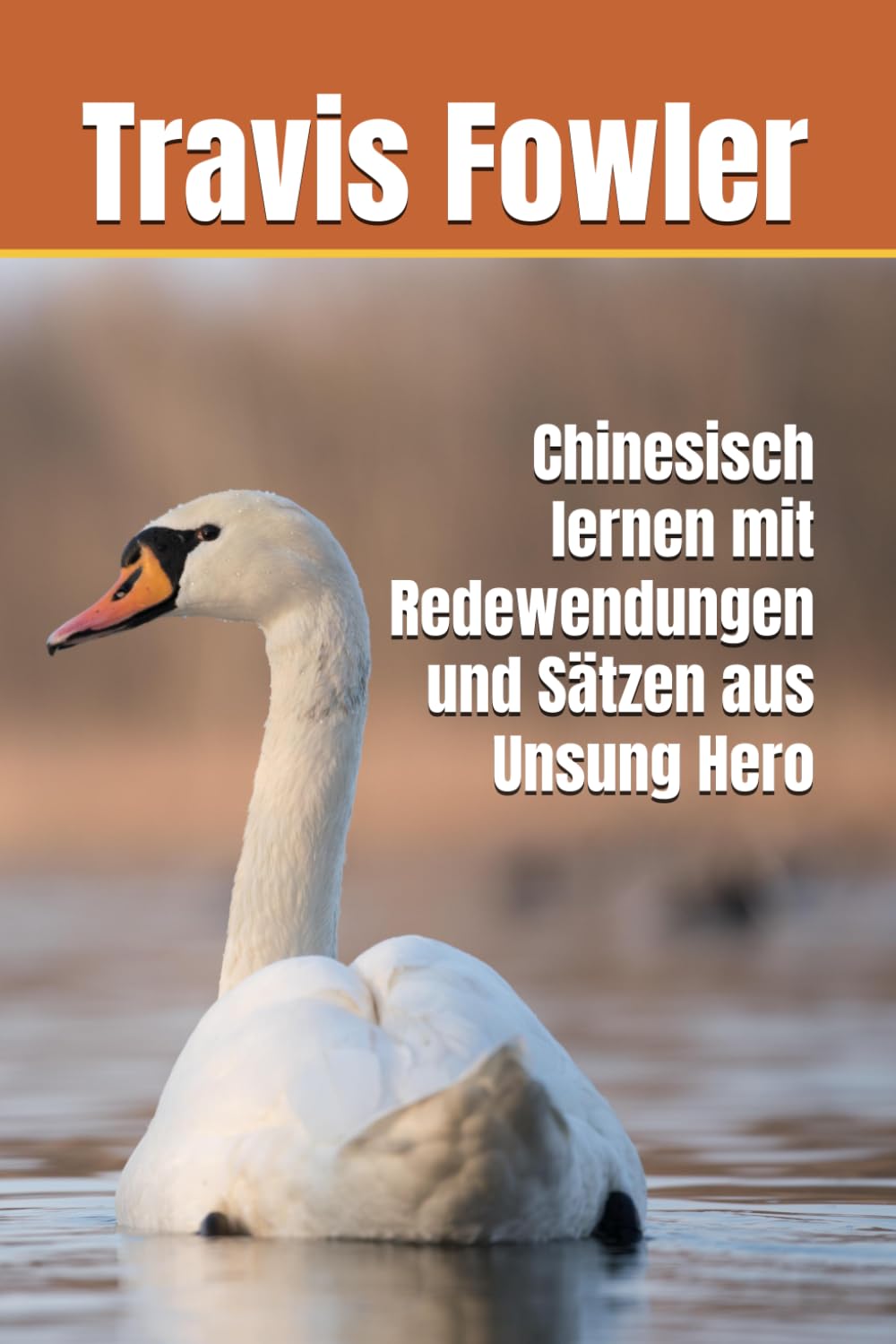 Chinesisch lernen mit Redewendungen und Sätzen aus Unsung Hero