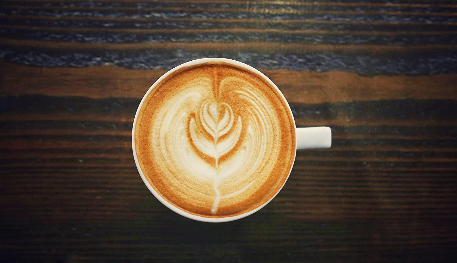 C&T Spezialitätenkaffee aus Kenia (3x1000g) | Single Origin Kaffee | 100% Arabica Kaffeebohnen | Schonende Trommelröstung | säurearm & frisch geröstet | Pflaume & dunkle Schokolade | Ganze Bohnen