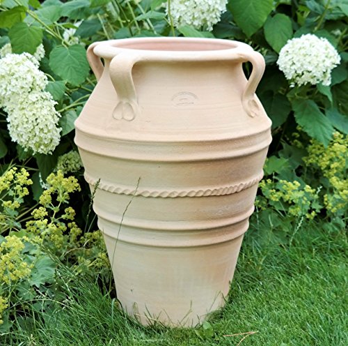 Kreta en Céramique Fait à la Main Terracotta Amphore avec Anse, Totalement Résistant au Gel, Superbe Pot pour intérieur et de Jardin et Terrasse, Datura 50 cm Cover