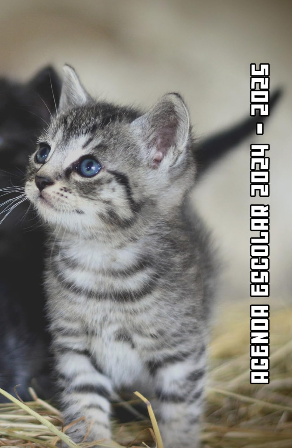 Agenda Escolar 2024 2025 Gatos: Planificador niño niña de primaria y secundaria | 2 Día = 1 Página | De Septiembre de 2024 a Agosto de 2025 | ... Calendario escolar | Formato A5 | 215 Páginas