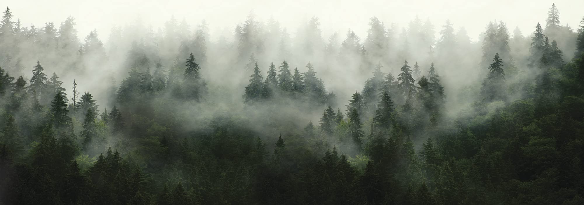 Wallarena Fototapeta XXL narożna 624 x 219 las mgła, naturalna panorama salon sypialnia tapeta tapeta z motywami odporna na promieniowanie UV gotowa do montażu