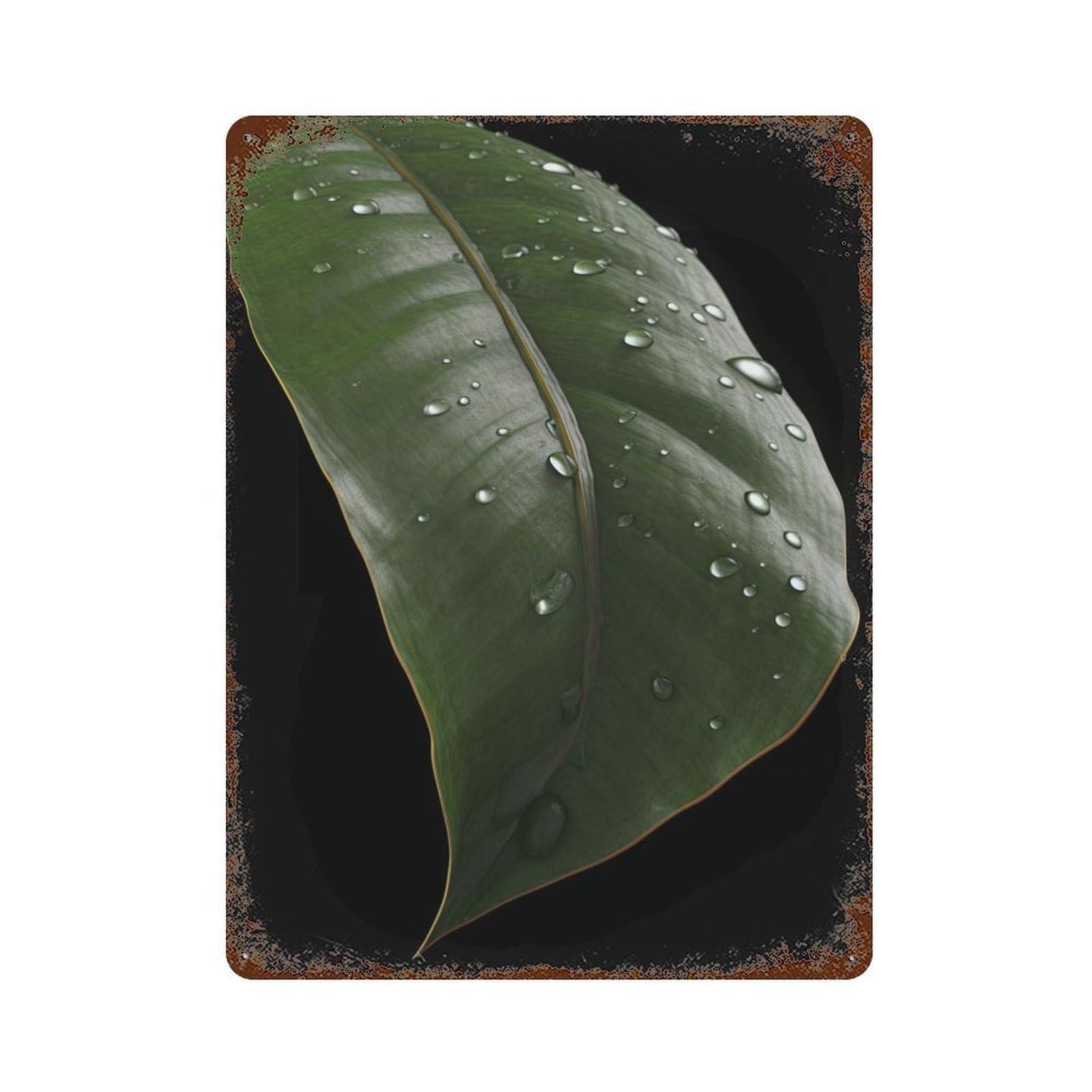 Rainy Banana Leaf Vintage Metal Tin Sign 15.7"x11.8", Ideal for Cafe, Home Bar And Lounge Decor