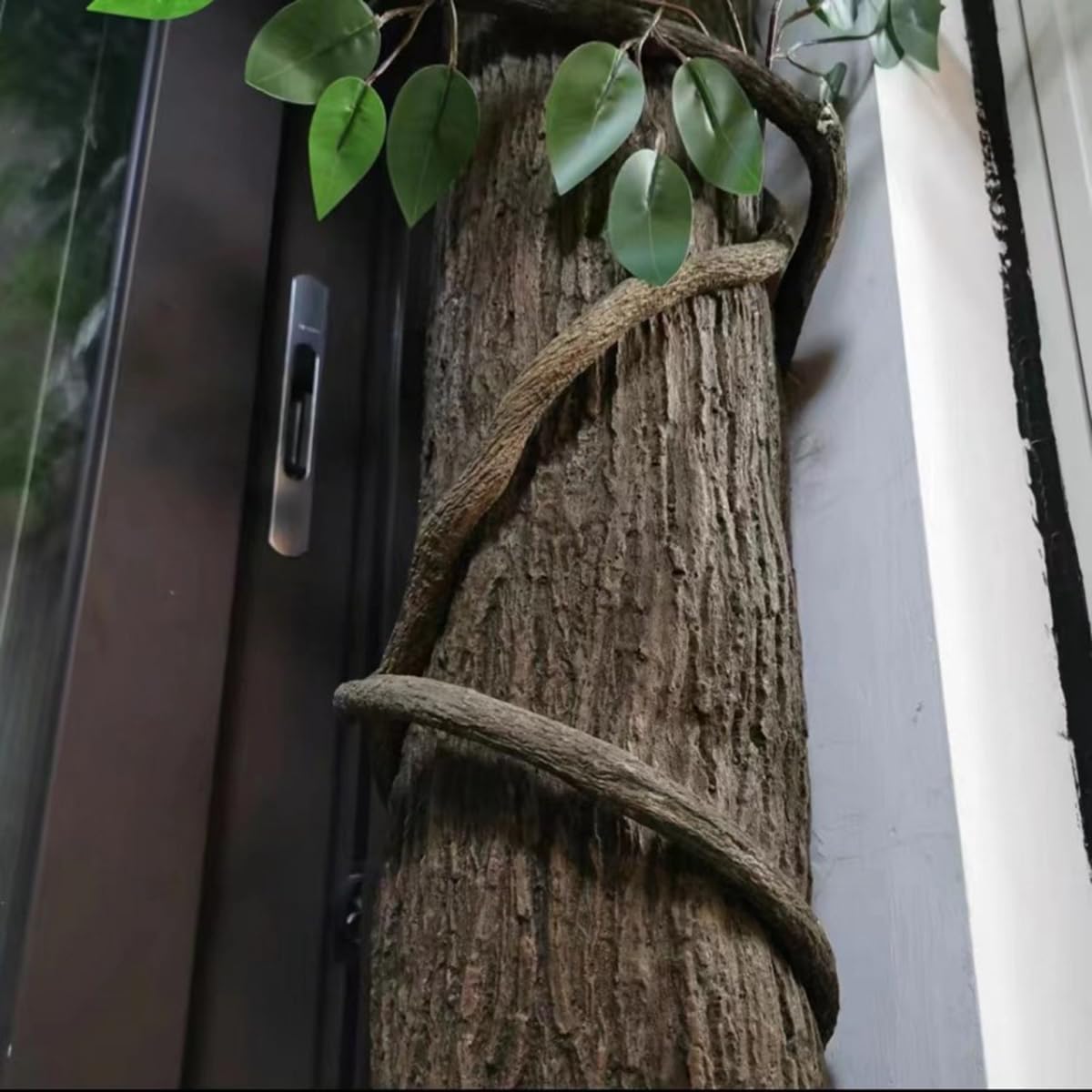 View 6
