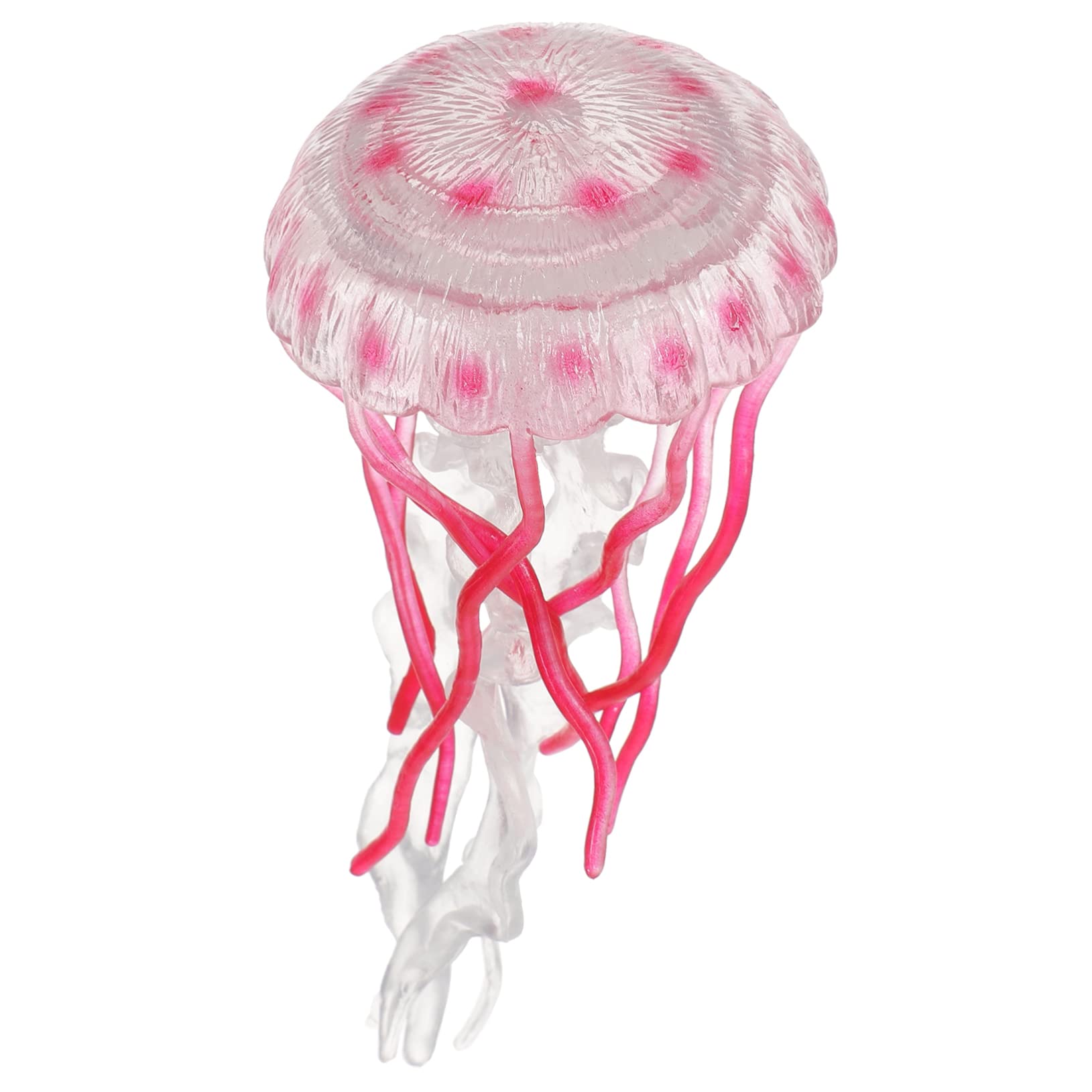 FLORMOON Figure di squalo realistiche, 6 pezzi, modelli di azione di creatura subacquea, giocattolo educativo e decorazione per torte per bambini