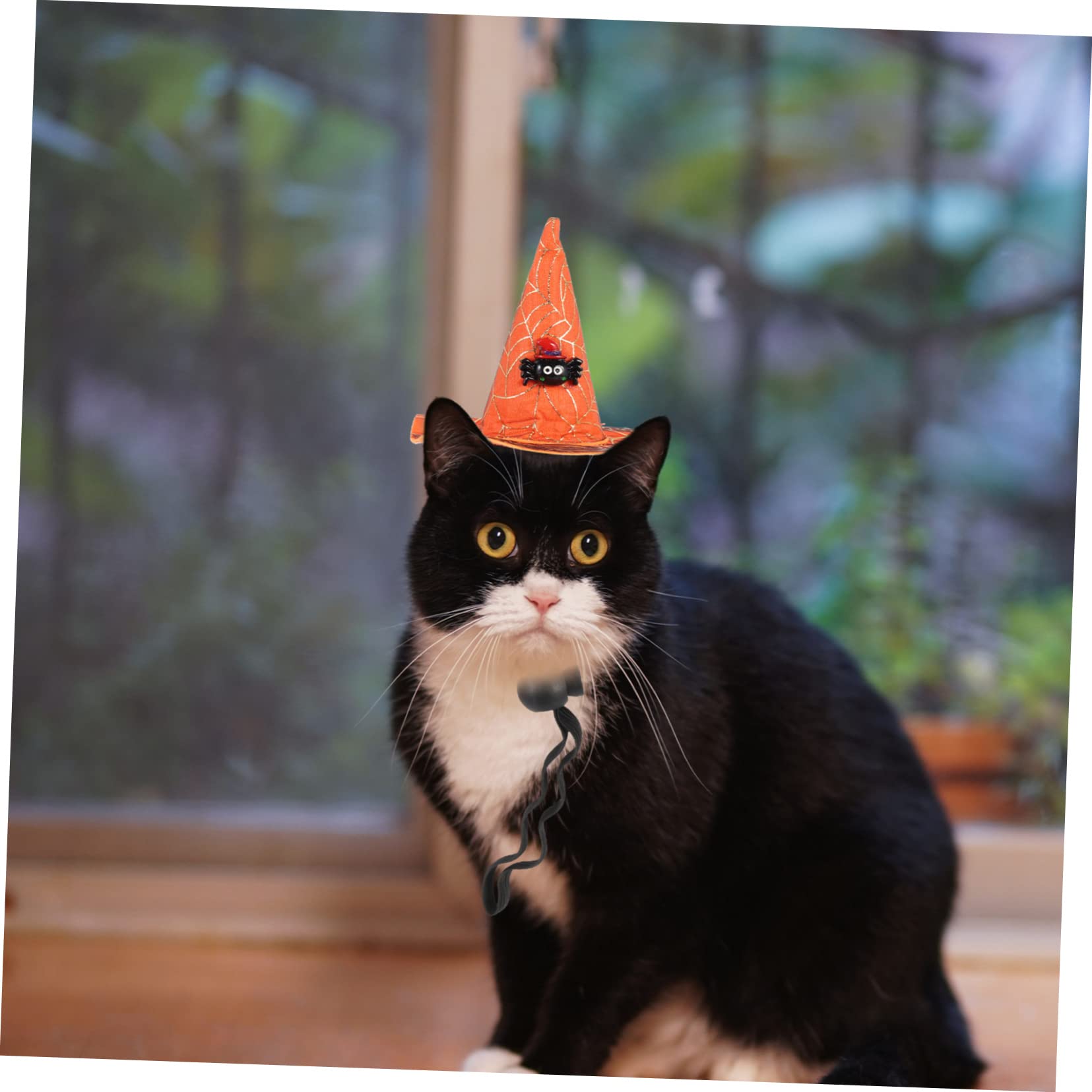 Kisangel 16stücke Teiliges Von Dekorativen Halloween-Witch-hüten Für Haustiere Vielseitige Katzen Und Hundezubehör Für Festlichkeiten Und Cosplay Leicht Bequem Und Auffällig