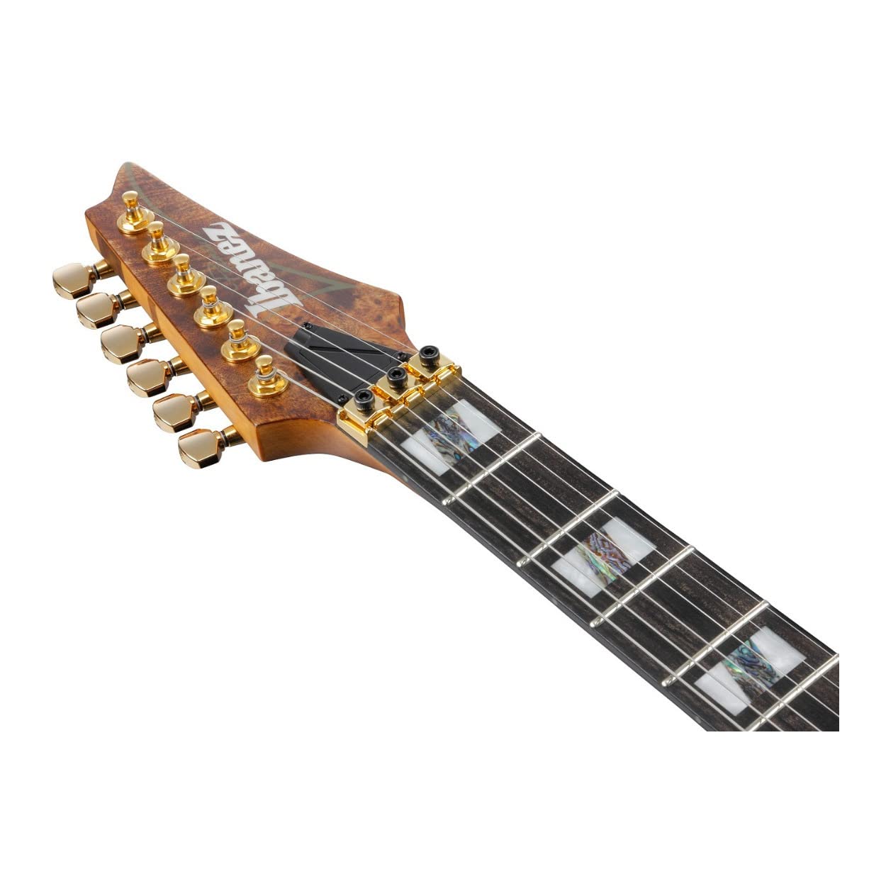 Amazon.com: Ibanez RGT1220PB Premium Electric Guitar - Antique