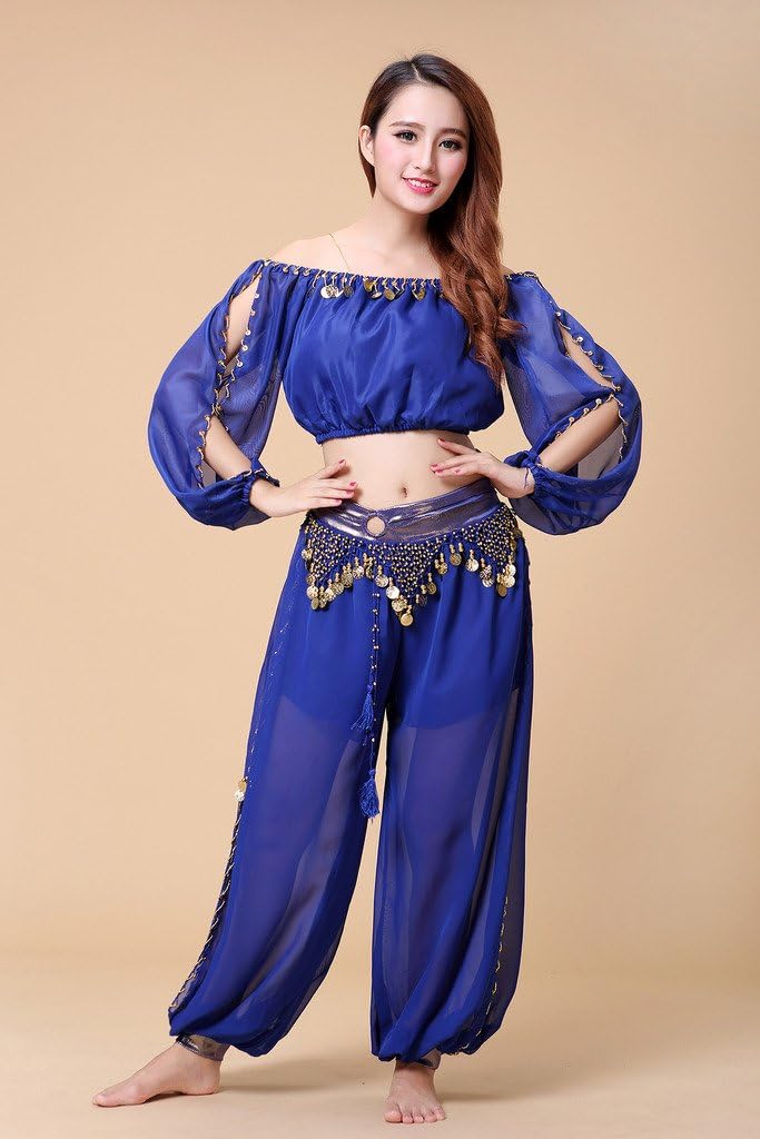 Belly Dance Chiffon Long Sleeves Top and Lantern Coins Pants Black, One Size - Image 5