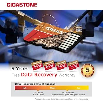 その他 gigastone 4k Camera Pro 1TB Products｜GIGASTONE