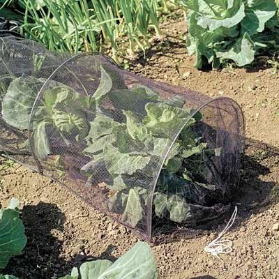 Gardman Netting Grow Tunnels, Pack of 8 Garden Row Covers 20” W x 120” L (10 ft Each), Metal Arch Frames, Fine Mesh Crop Protection from Deer & Insects, Water & Light Permeable Plant Tunnels