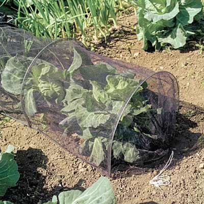 Gardman Netting Grow Tunnels, 20" W x 120" L, Pack of 8