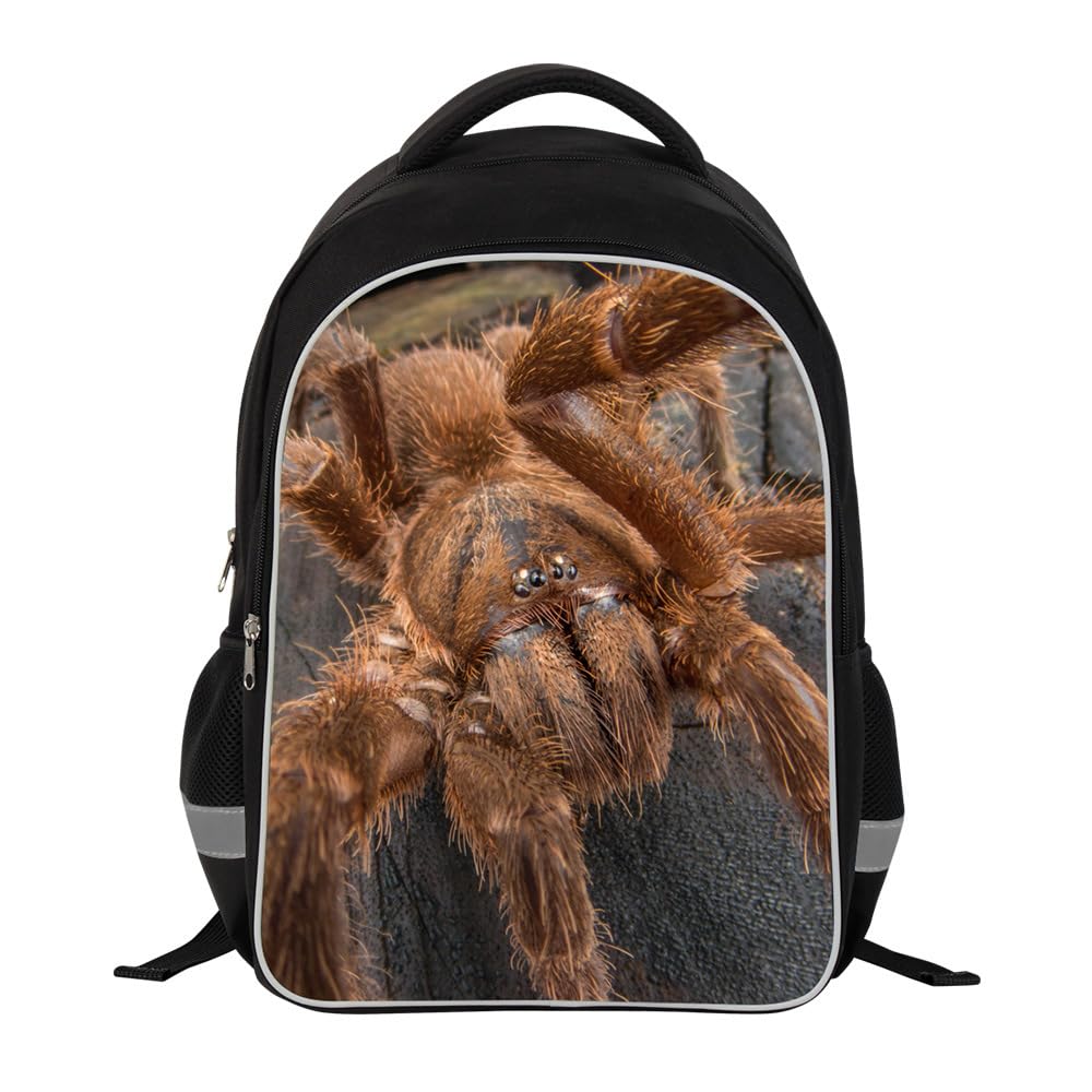 Cool Spider backpack Crazy Bookbag Children Outdoor Back Pack Students School Bag Day Pack
