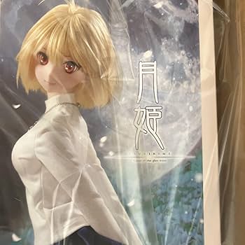 【新品】Volks ドルパ48 DD アルクェイド ブリュンスタッド　月姫 Amazon.co.jp: 未開封 DD アルクェイドブリュンスタッド 月姫 A