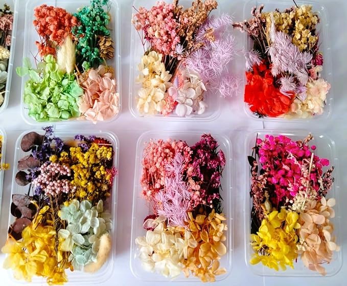 radiance store Natural Dry Flowers (1 Box Random) Resin Art/Nail Art/Card & Candle Making/Craft/DIY (Multicolour, 17 X 12 X 3.5 Cm)(Flower)(Flower), Flower, Flower- 1 Box-picture-35