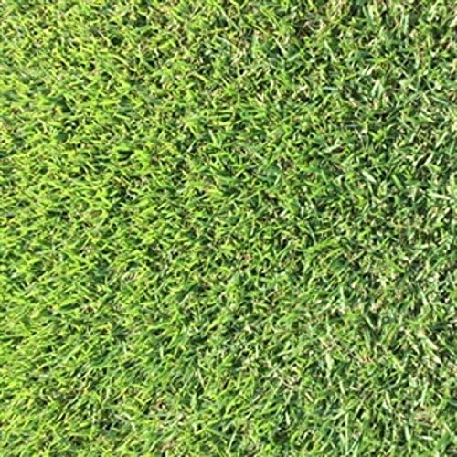 Zoysia grass seeds 1/8 lb Patio, Lawn & Garden